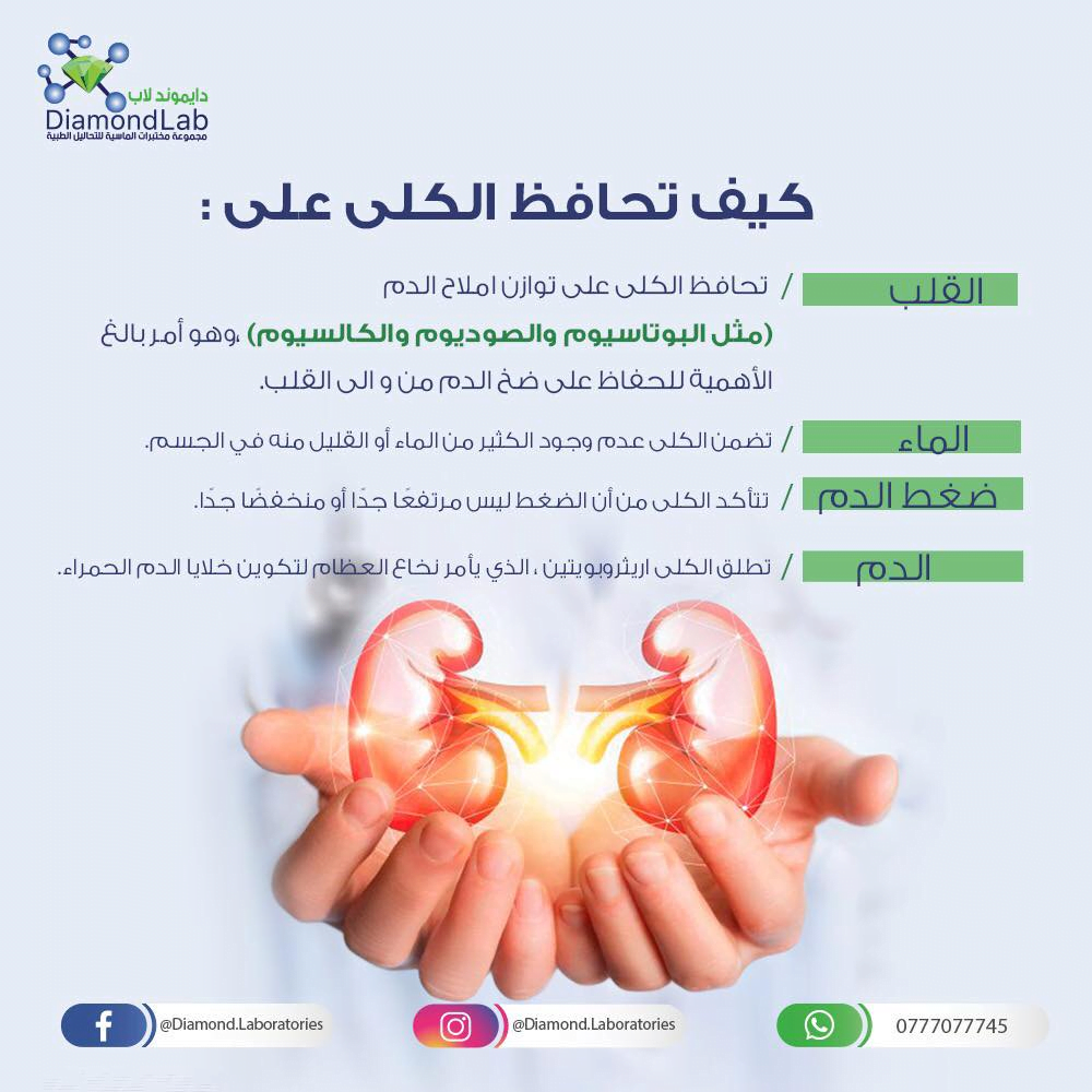 Kidney function examination