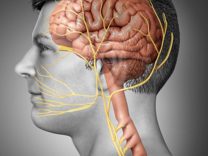 ما هي أسباب التهاب العصب الدهليزي؟ الأعراض والعوامل المرتبطة به وطرق التشخيص
